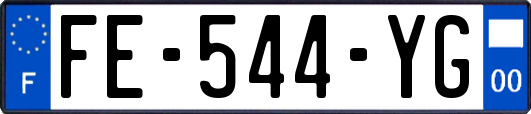 FE-544-YG