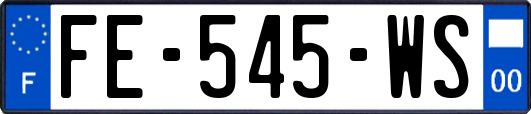 FE-545-WS