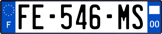 FE-546-MS