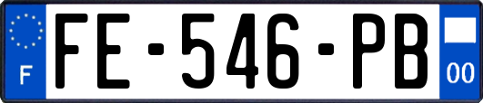 FE-546-PB