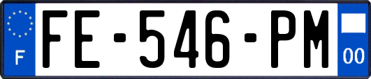 FE-546-PM