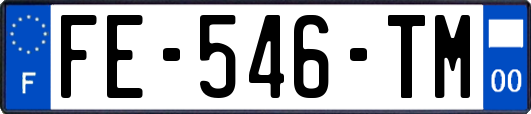 FE-546-TM