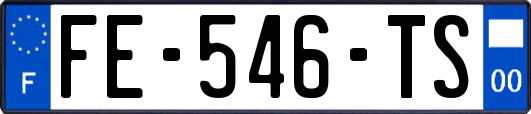 FE-546-TS