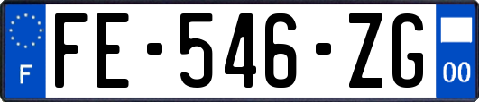 FE-546-ZG