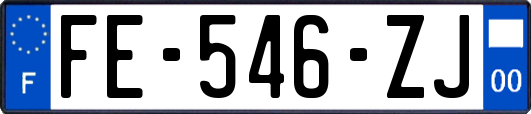 FE-546-ZJ