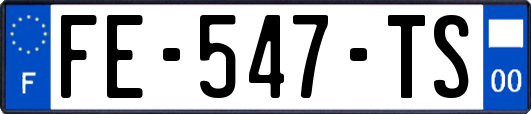 FE-547-TS
