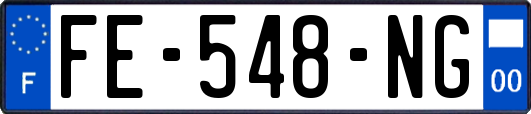 FE-548-NG