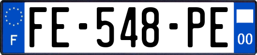 FE-548-PE