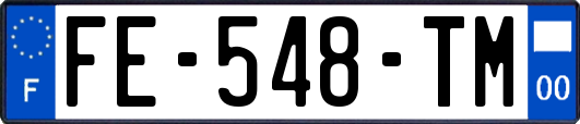 FE-548-TM
