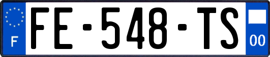 FE-548-TS