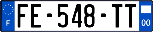 FE-548-TT
