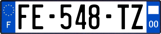 FE-548-TZ