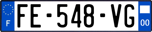 FE-548-VG