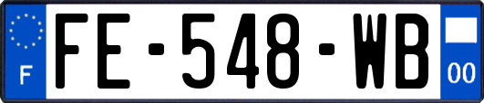 FE-548-WB