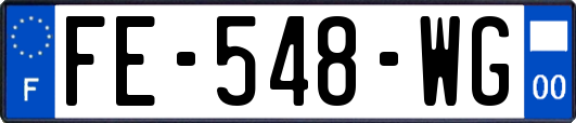 FE-548-WG