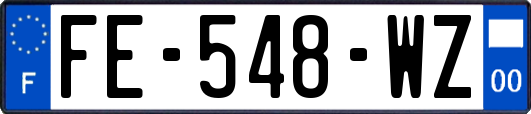 FE-548-WZ