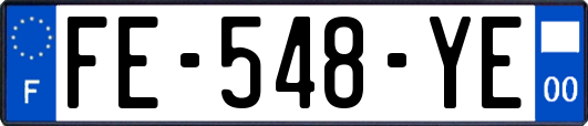 FE-548-YE