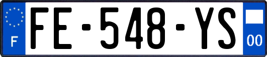 FE-548-YS
