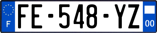 FE-548-YZ