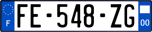 FE-548-ZG