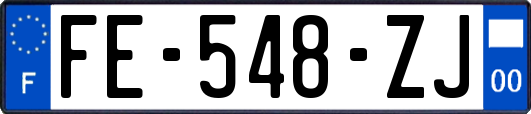 FE-548-ZJ