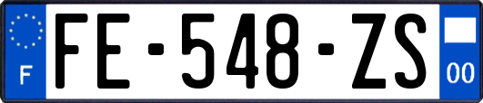 FE-548-ZS