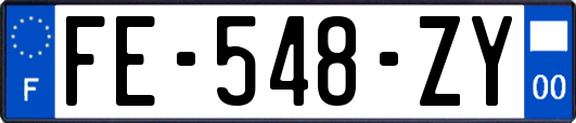 FE-548-ZY