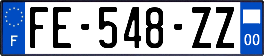 FE-548-ZZ