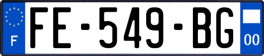 FE-549-BG