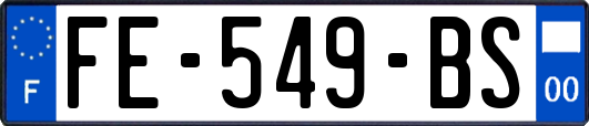 FE-549-BS