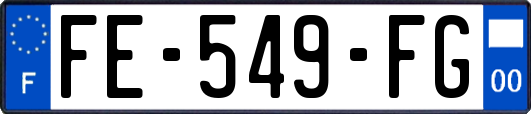 FE-549-FG