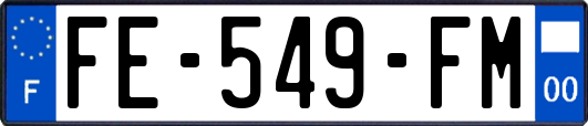 FE-549-FM