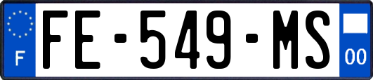 FE-549-MS