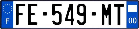 FE-549-MT
