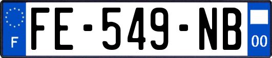 FE-549-NB