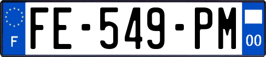 FE-549-PM