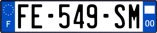 FE-549-SM