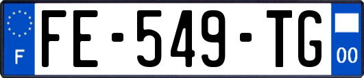 FE-549-TG