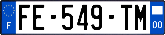 FE-549-TM