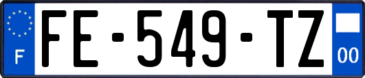 FE-549-TZ