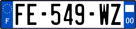 FE-549-WZ