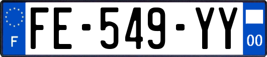 FE-549-YY