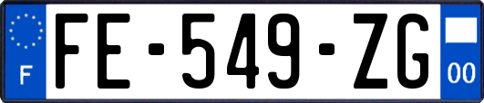 FE-549-ZG