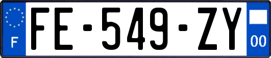 FE-549-ZY