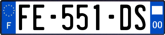 FE-551-DS