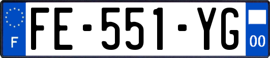 FE-551-YG