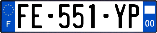 FE-551-YP