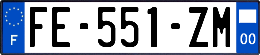 FE-551-ZM