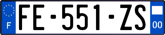 FE-551-ZS