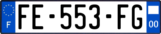 FE-553-FG